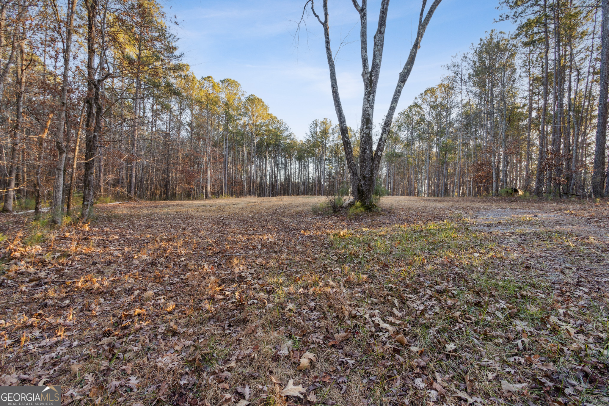 Rockmart, Georgia 30153, United States, ,Land,Active,22919