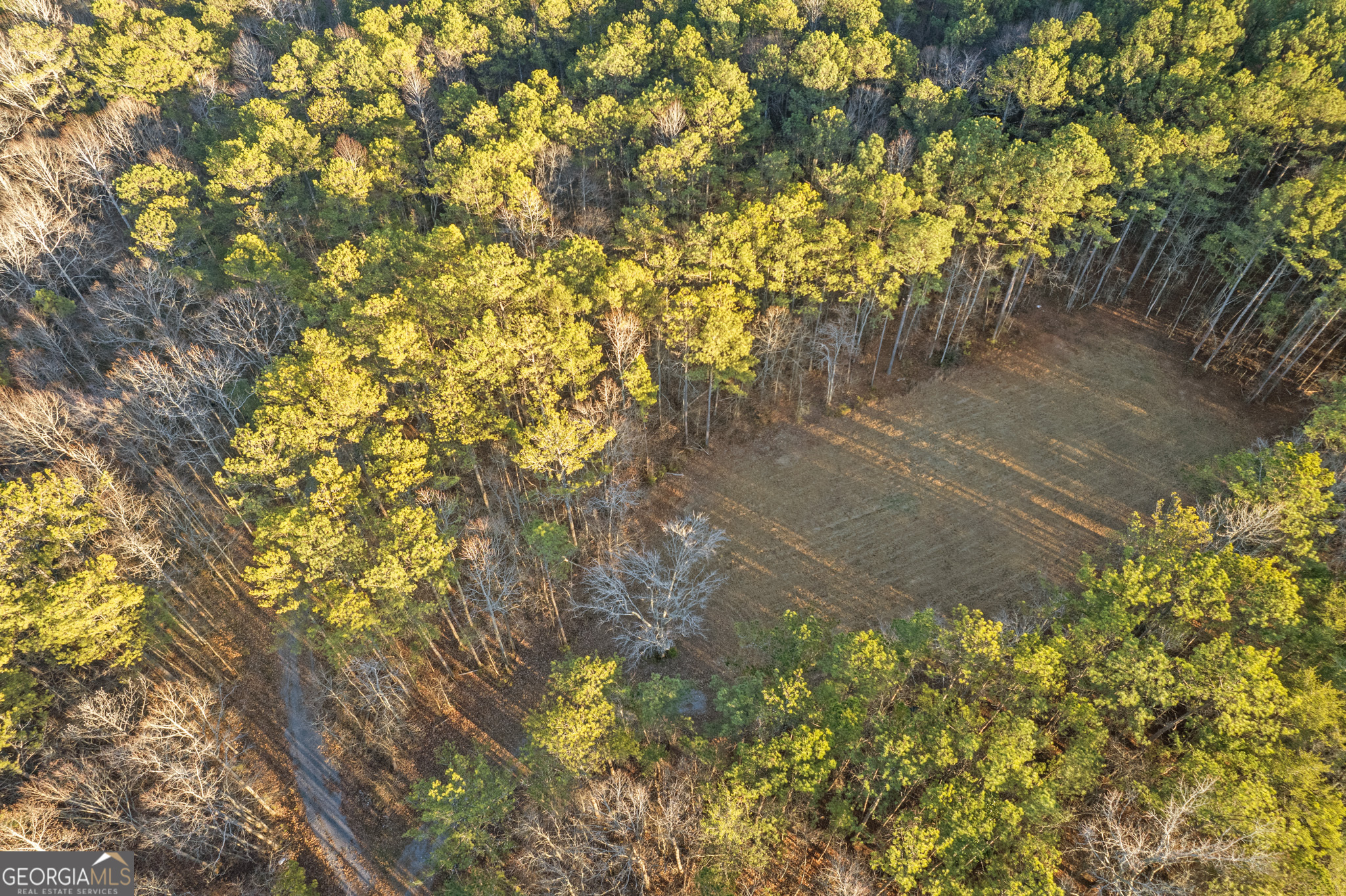 Rockmart, Georgia 30153, United States, ,Land,Active,22919