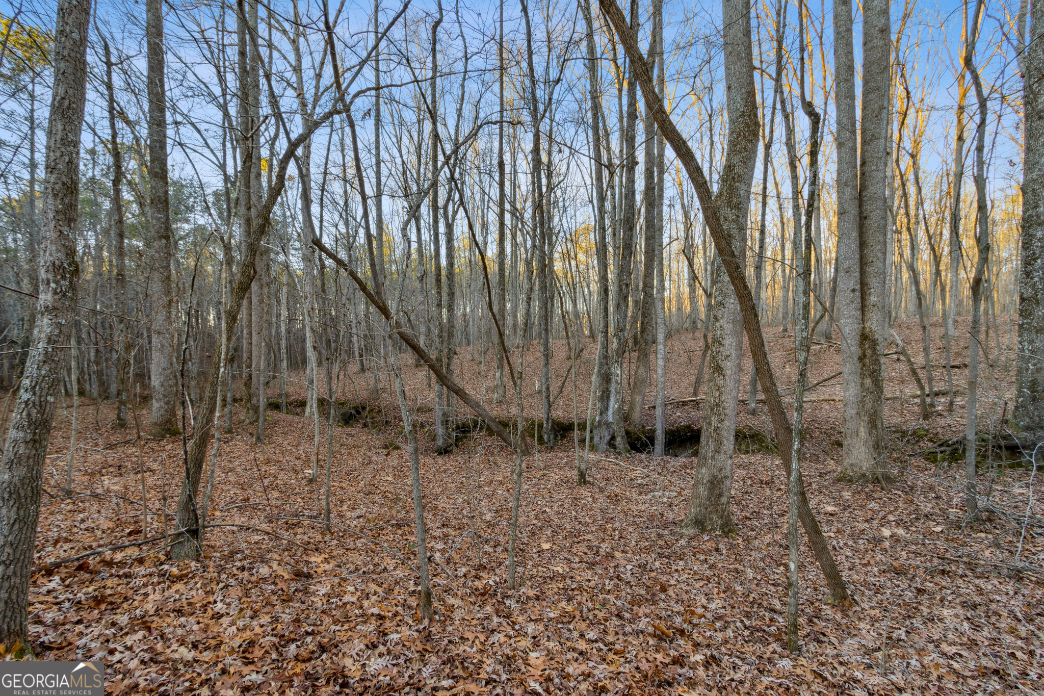 Rockmart, Georgia 30153, United States, ,Land,Active,22919