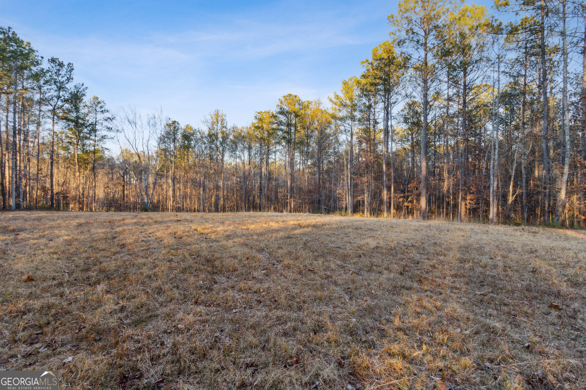 Rockmart, Georgia 30153, United States, ,Land,Active,22919