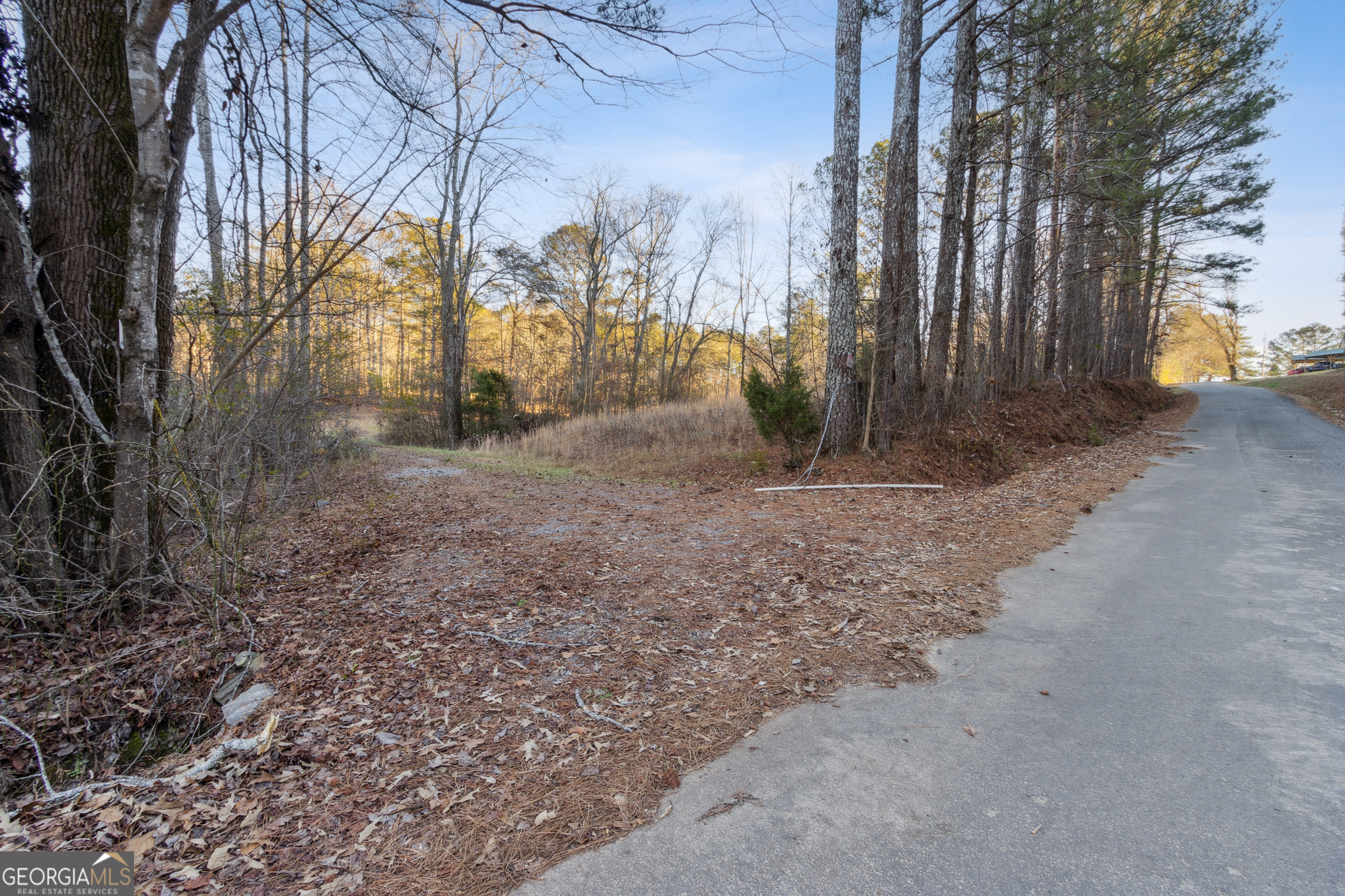 Rockmart, Georgia 30153, United States, ,Land,Active,22919