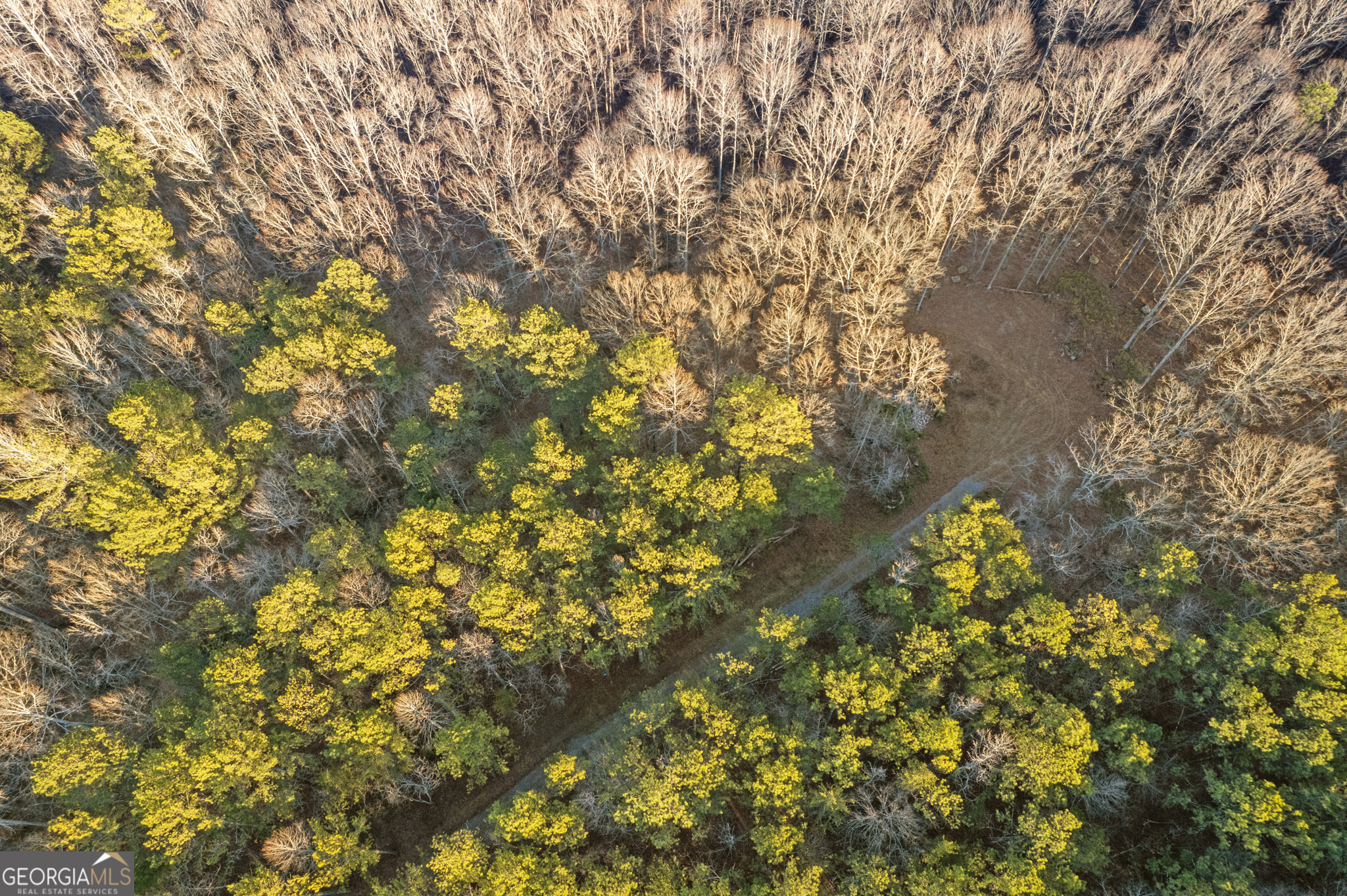 Rockmart, Georgia 30153, United States, ,Land,Active,22919