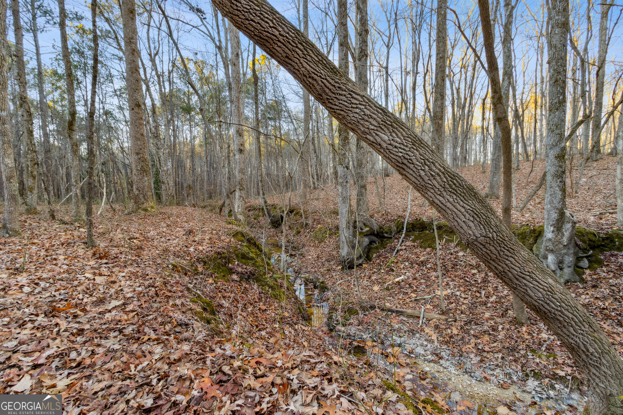 Rockmart, Georgia 30153, United States, ,Land,Active,22919