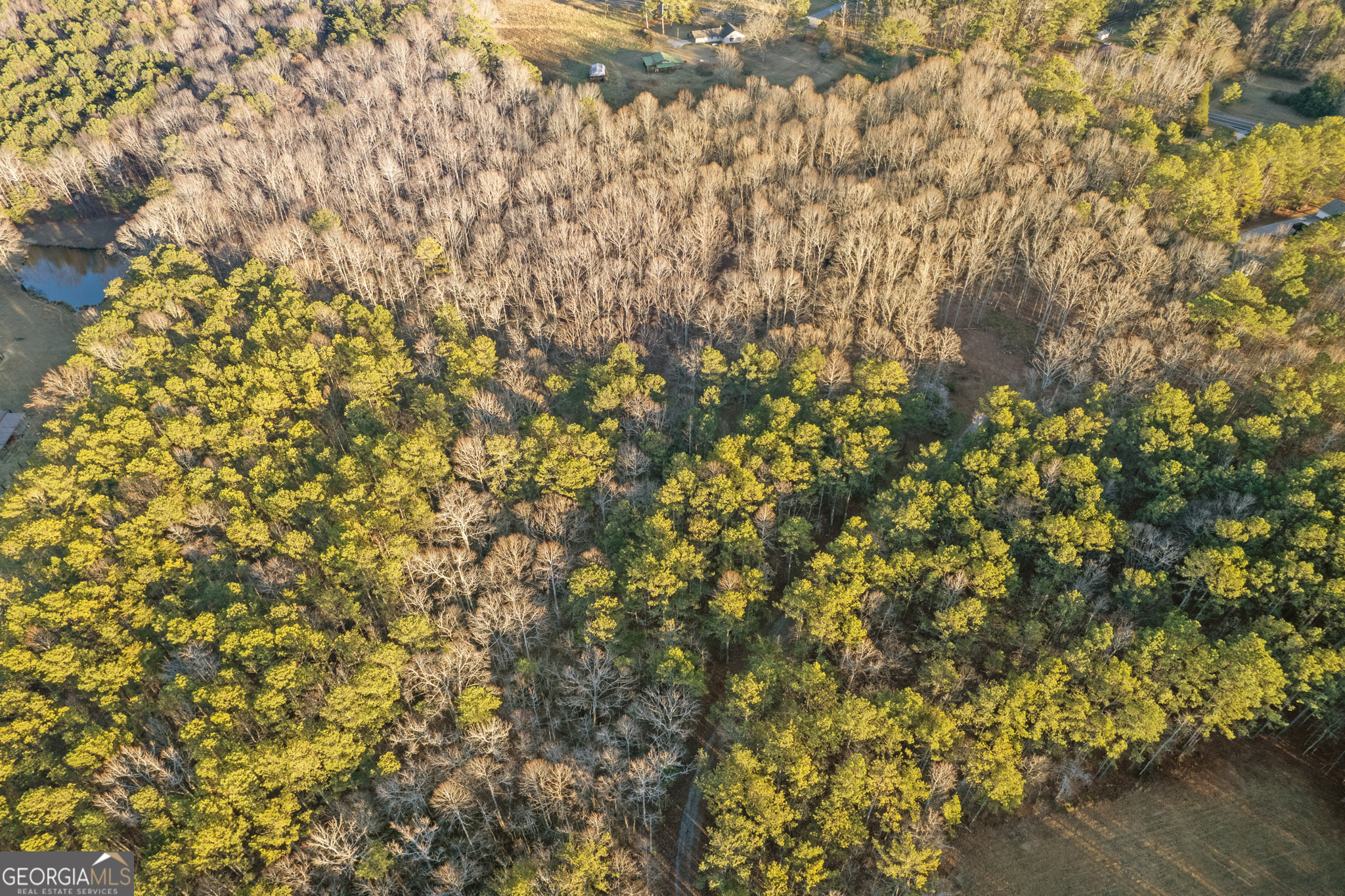 Rockmart, Georgia 30153, United States, ,Land,Active,22919