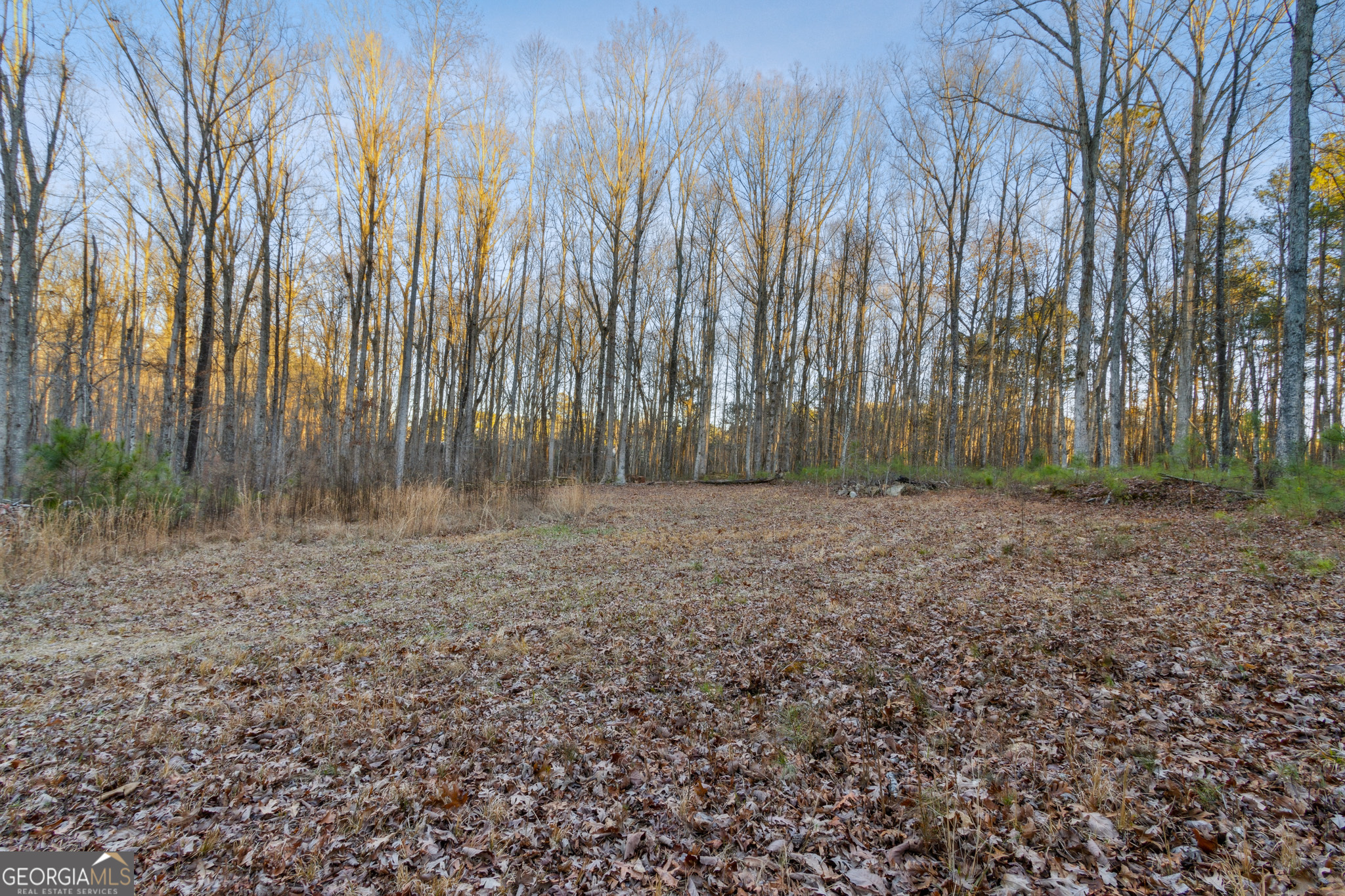 Rockmart, Georgia 30153, United States, ,Land,Active,22919