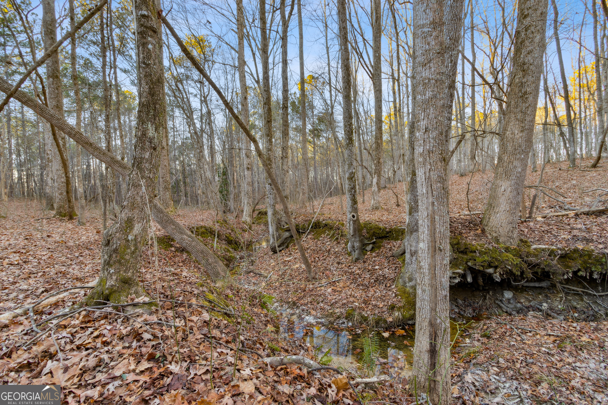 Rockmart, Georgia 30153, United States, ,Land,Active,22919