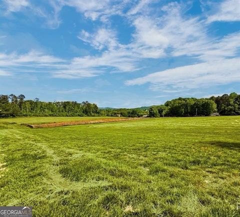 Photo of 114 Palisade Drive, Rydal, GA 30171 (MLS # 10739019)