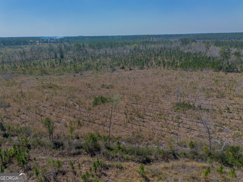 Photo of 00 MEMORIAL DR, WAYCROSS, GA 31503 (MLS # 10716986)