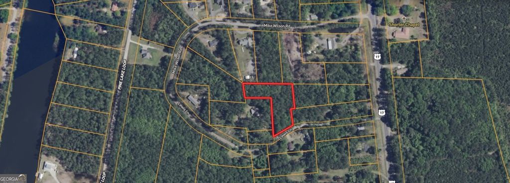 Photo of 0 Lewis Lane #1, Townsend, GA 31331 (MLS # 10700640)