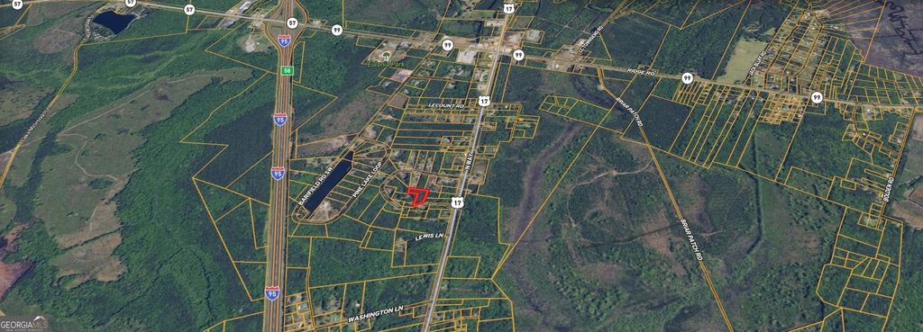 Photo of 0 Lewis Lane #1, Townsend, GA 31331 (MLS # 10700640)