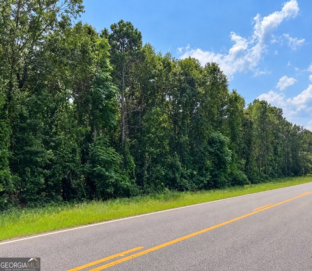 Photo of 0 N Friendship Church Rd, Bartow, GA 30413 (MLS # 10880724)