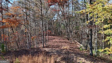 LOT 197 Springwinds DR Cleveland GA 30528