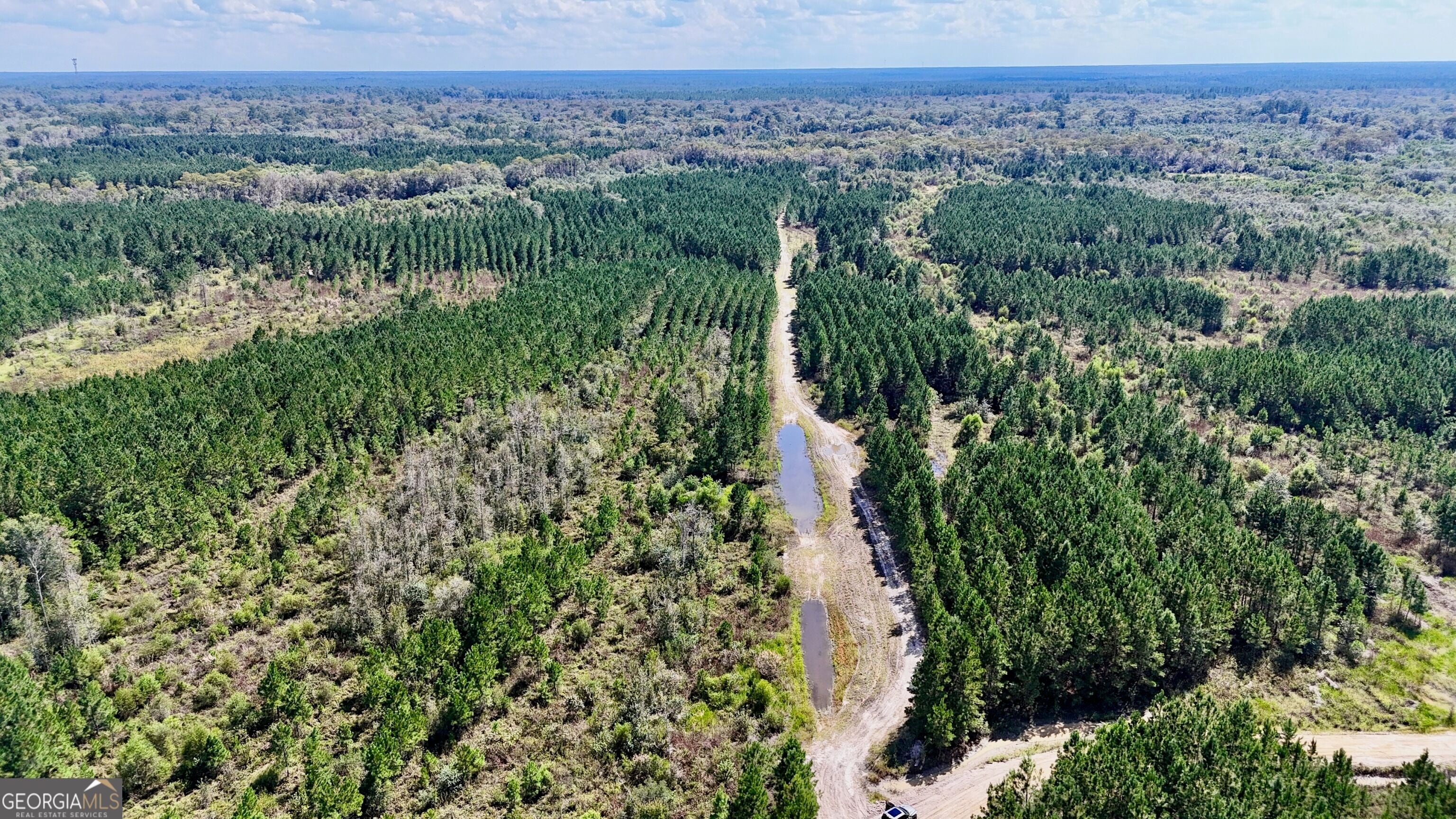 238 GA Highway 107