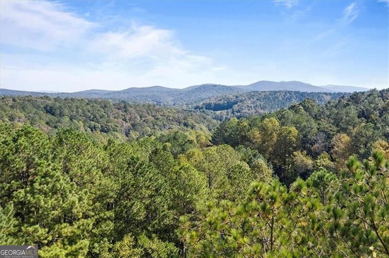 72 Mountain Creek Hollow DR