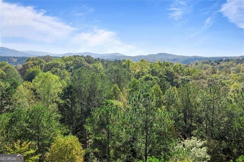 72 Mountain Creek Hollow DR