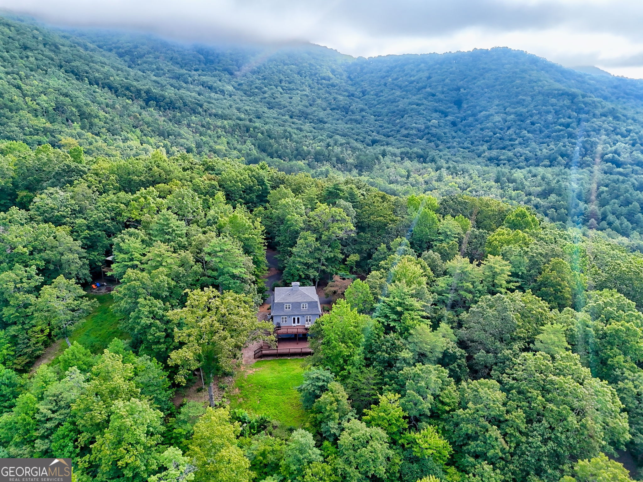 417 Hidden Forest LN
