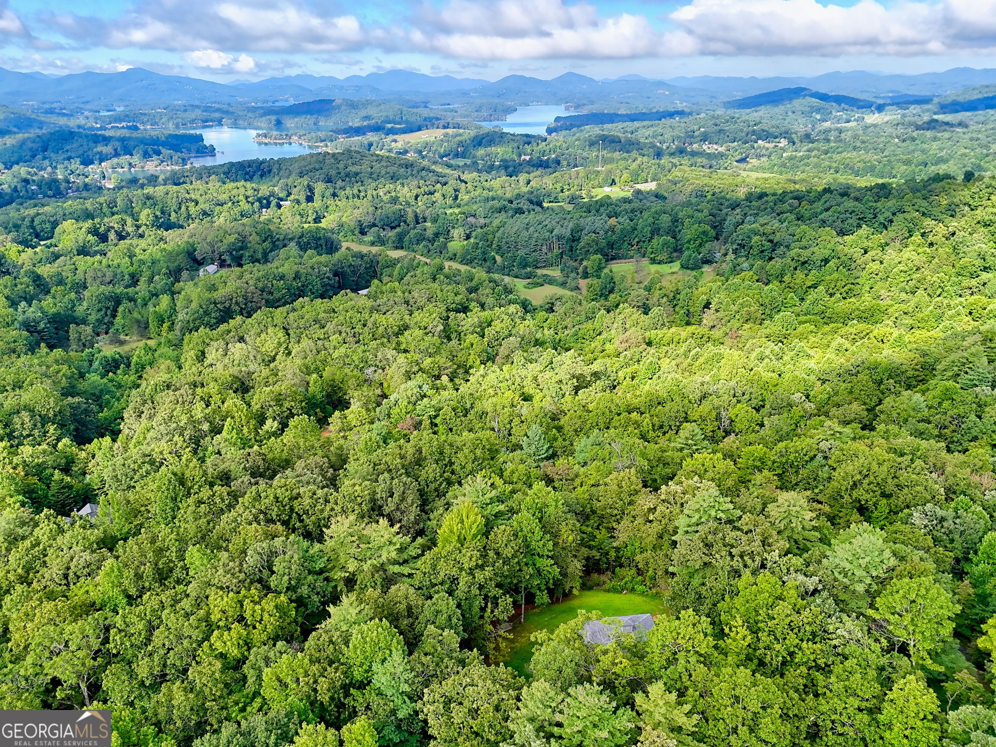 417 Hidden Forest LN