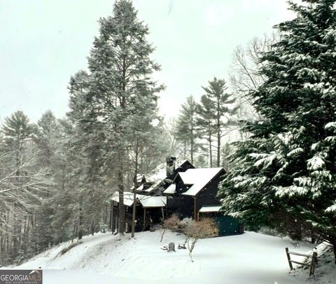 A home in Mineral Bluff