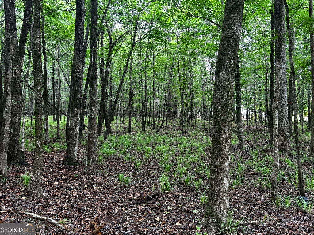 Photo of 213 Winding River Rd, Eatonton, GA 31024 (MLS # 10796311)