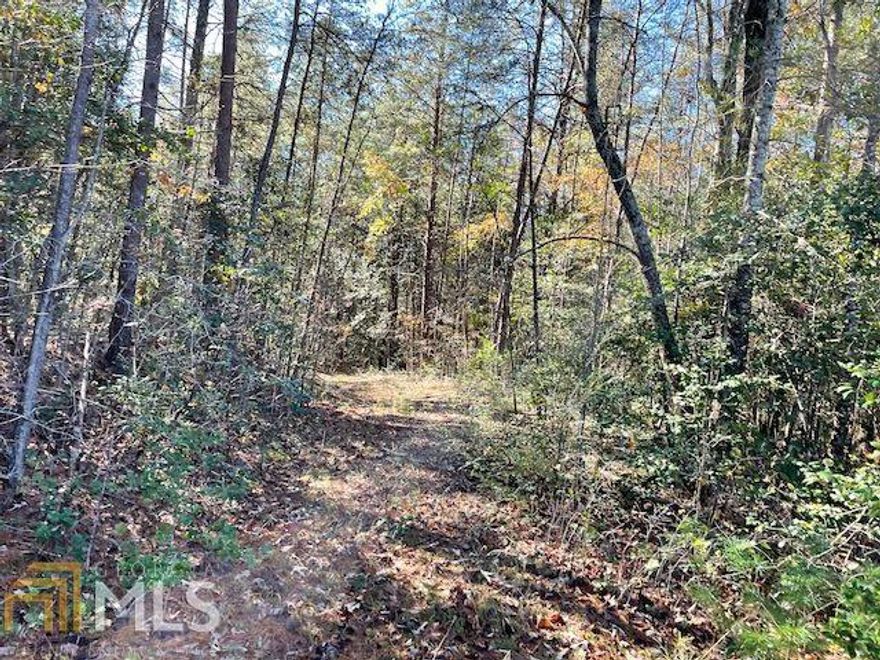 41+ acres of land, located at the end of Camp Creek road. Minutes walking to the headwaters Tugalo Lake and the mouth of the famed Chattooga River. Ideal for a wilderness retreat or your home.