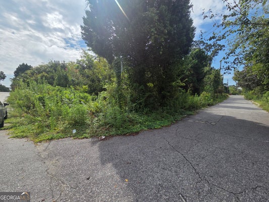 751 MITCHELL ST, MACON, GA 31217 - Image c5ba3be2fdf4fefe0fcb28a082a33fa2/2663520371