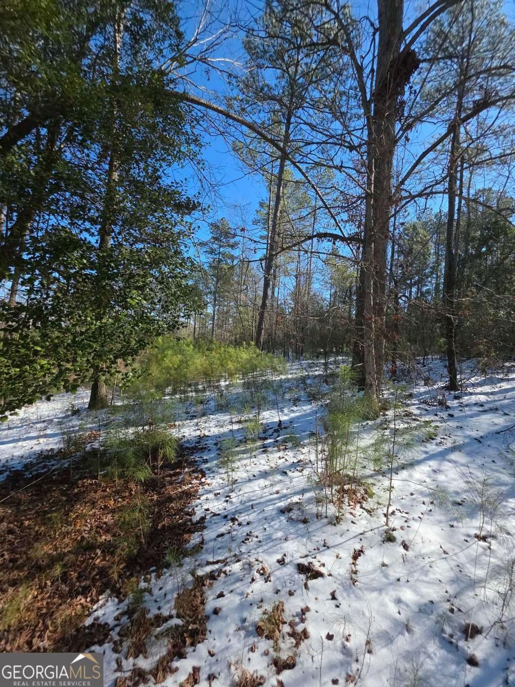 Photo of 56 Hornets Bridge Drive, Elberton, GA 30635 (MLS # 10685283)