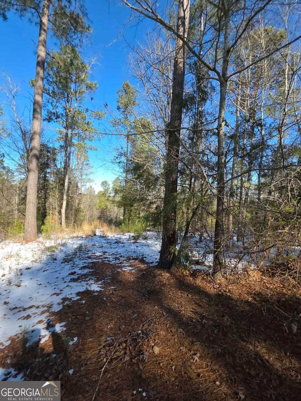 Photo of 56 Hornets Bridge Drive, Elberton, GA 30635 (MLS # 10685283)