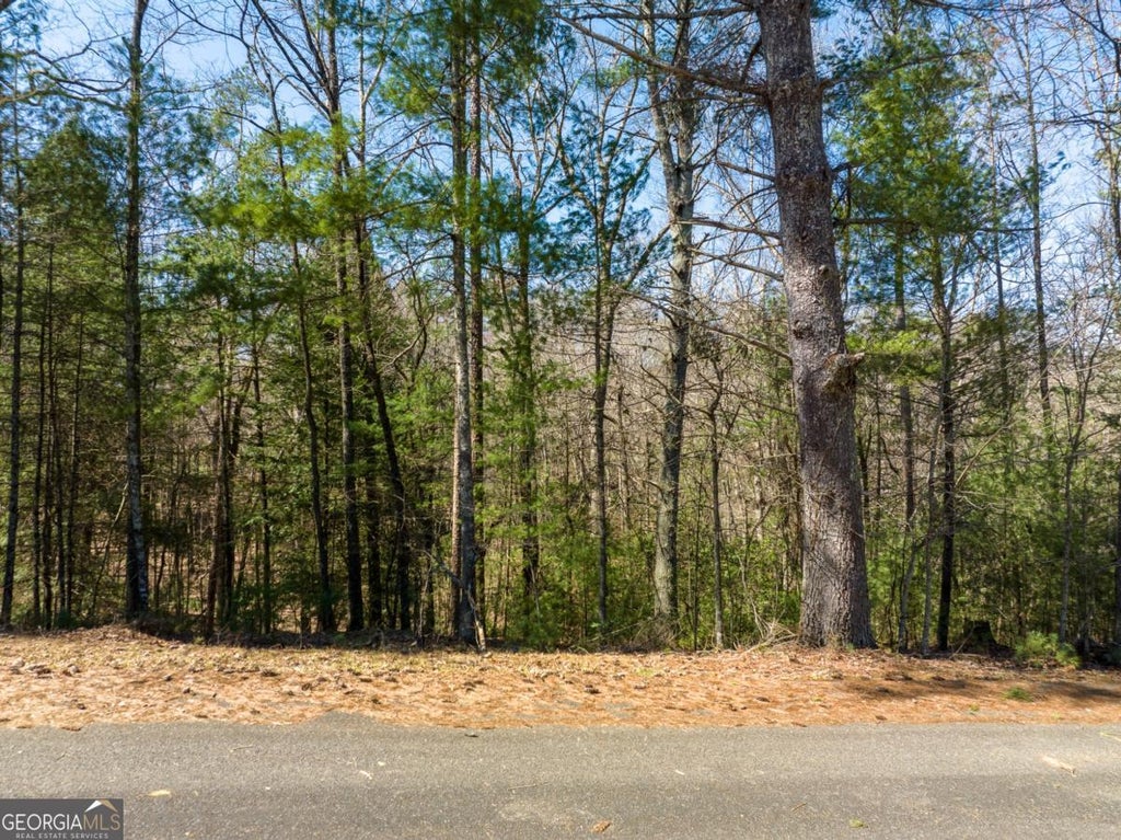 Photo of 164 Shenendoa Drive, Ellijay, GA 30540 (MLS # 10839755)