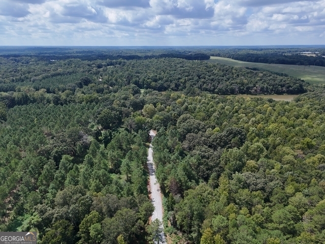 0 Sanford Lake DR TRACT 1