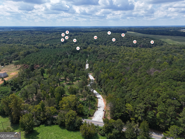 0 Sanford Lake DR TRACT 1