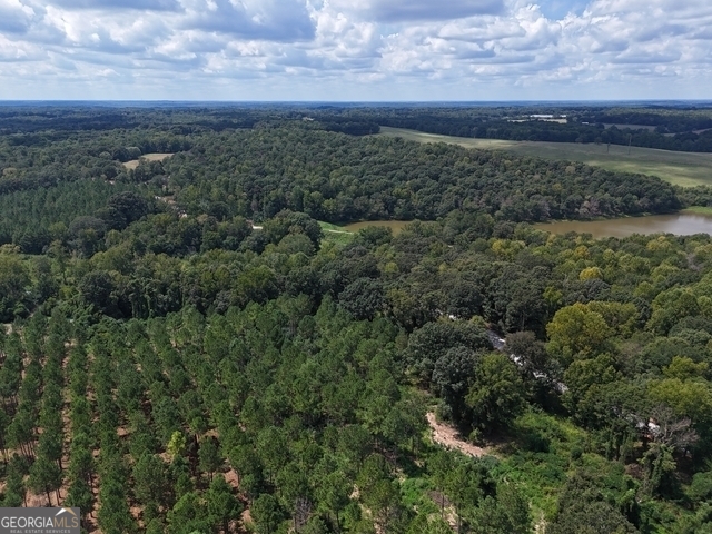 0 Sanford Lake DR TRACT 1