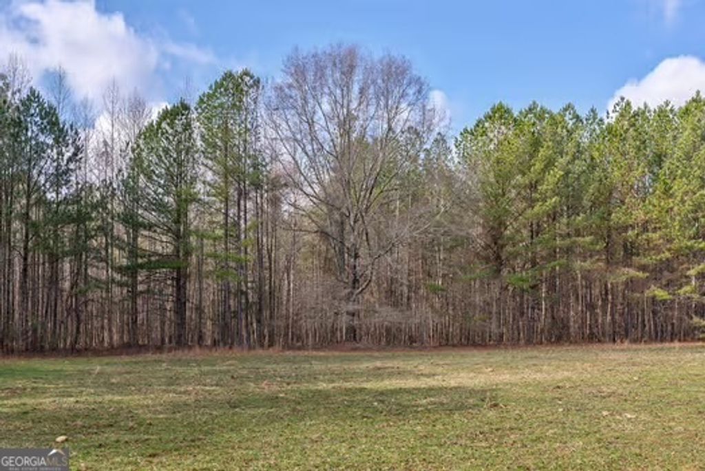 Photo of 000 Double Bridges Rd., Madison, GA 30650 (MLS # 10690874)