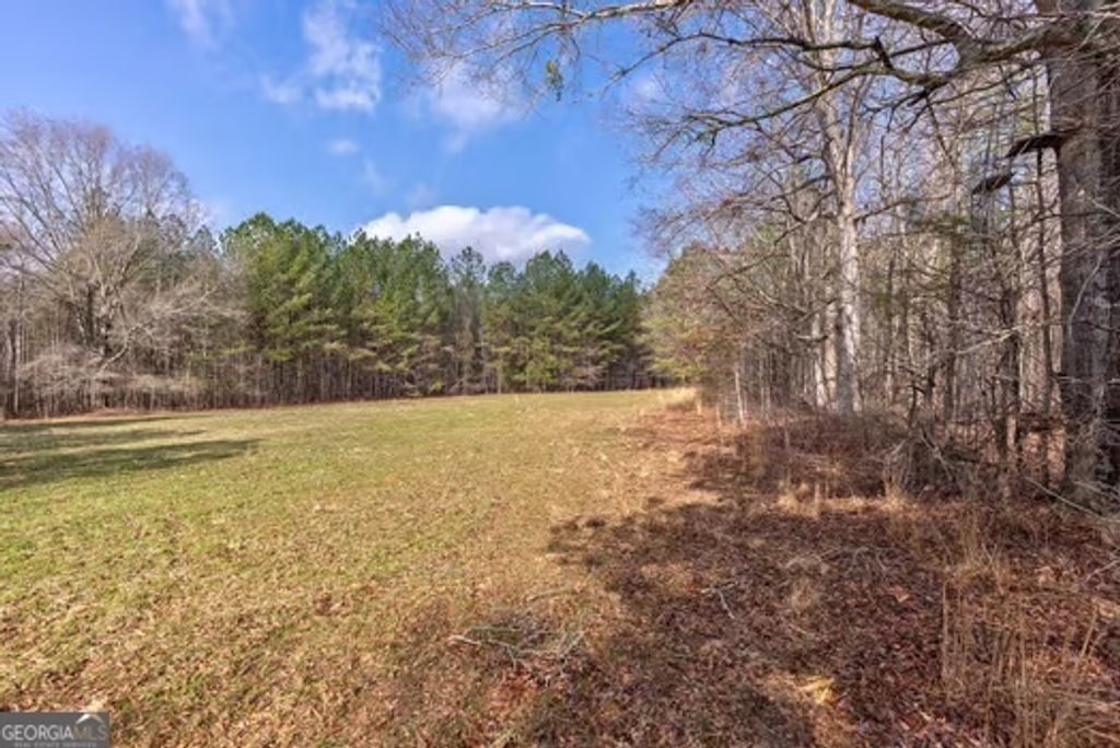 Photo of 000 Double Bridges Rd., Madison, GA 30650 (MLS # 10690874)