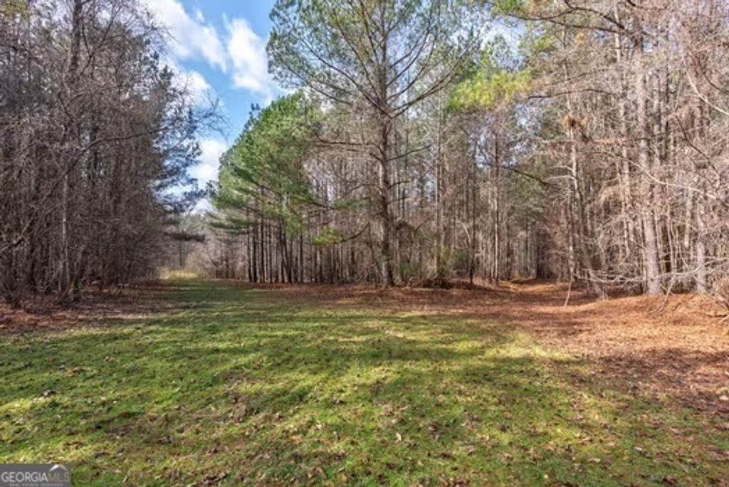 Photo of 000 Double Bridges Rd., Madison, GA 30650 (MLS # 10690874)