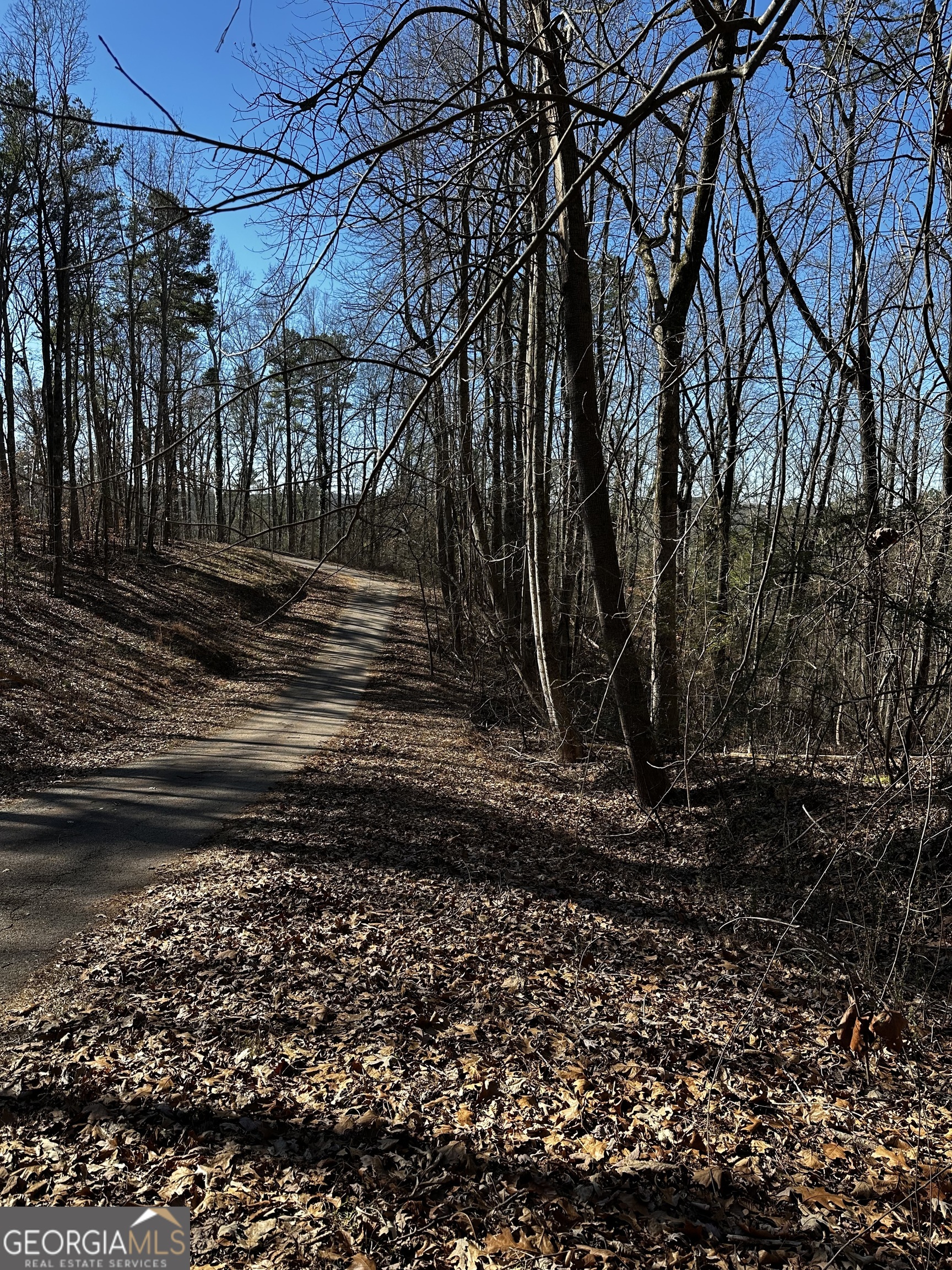 59 Pine TRL