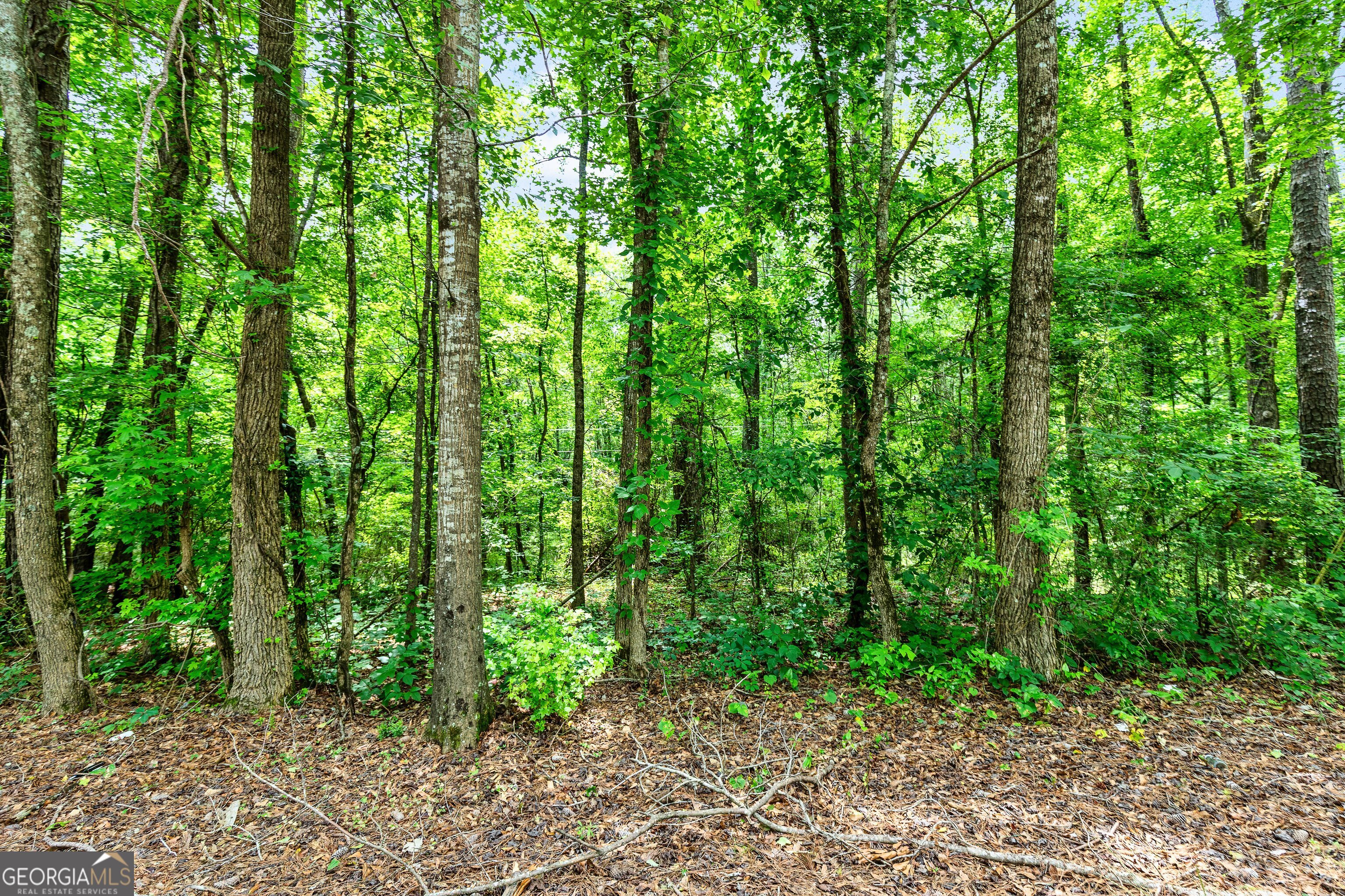 2964 Whitesville RD