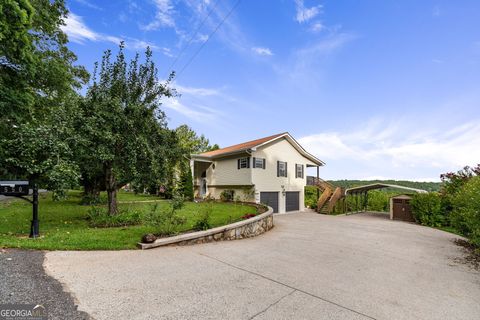 A home in Mineral Bluff