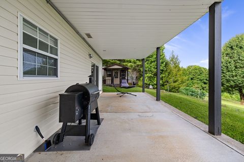 A home in Mineral Bluff