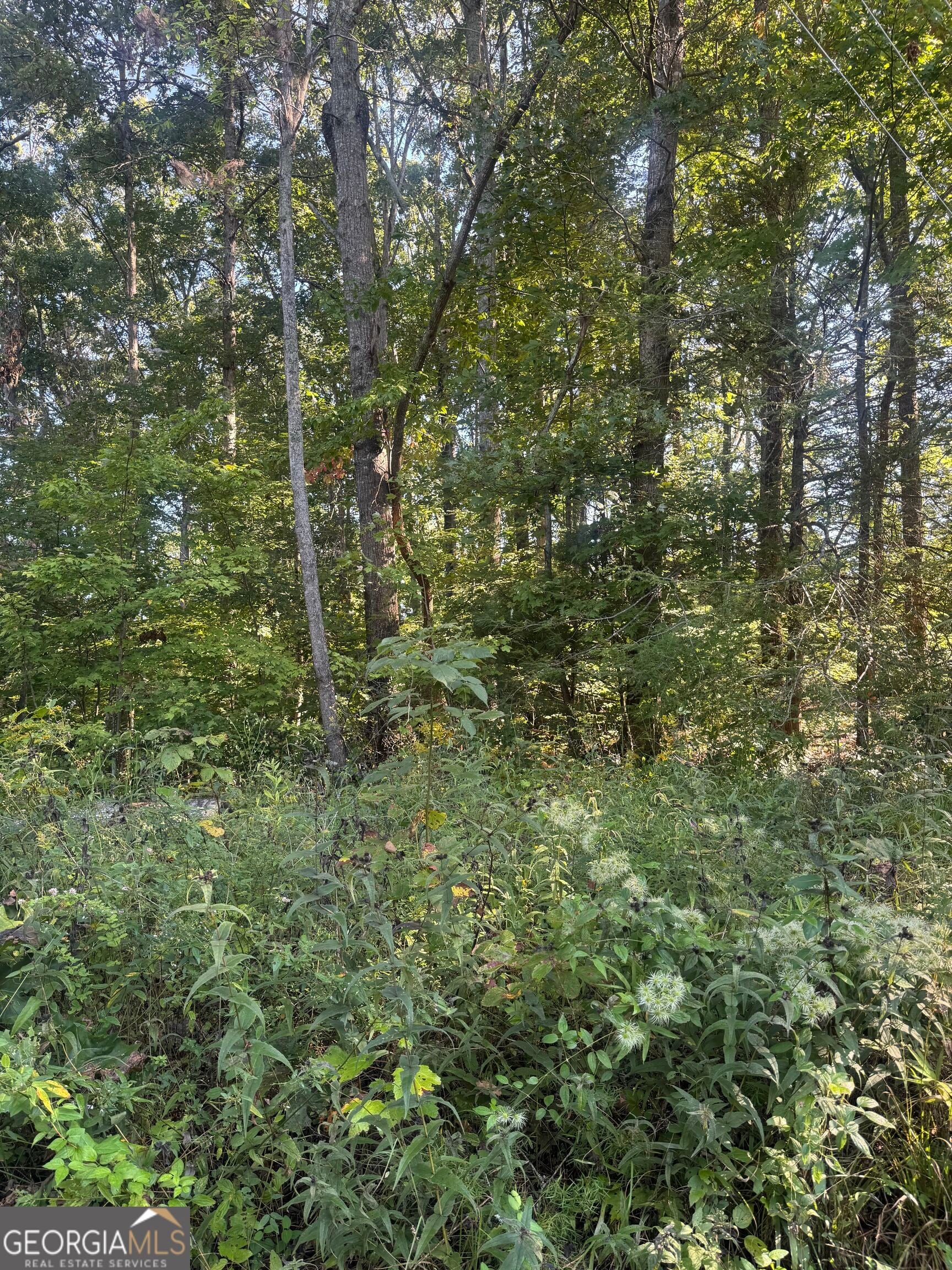 LOT 3 Roberts Ridge RD