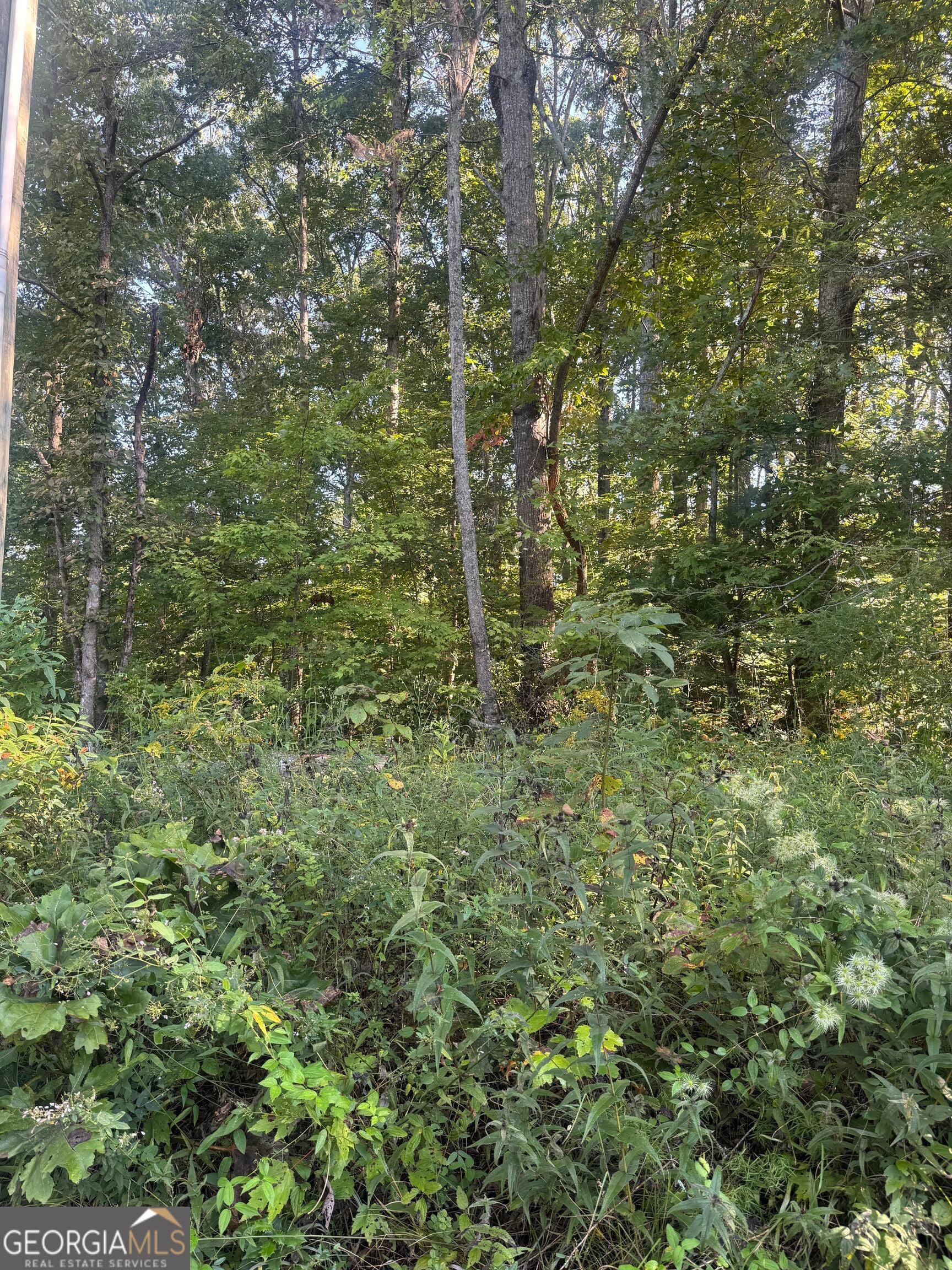 LOT 3 Roberts Ridge RD