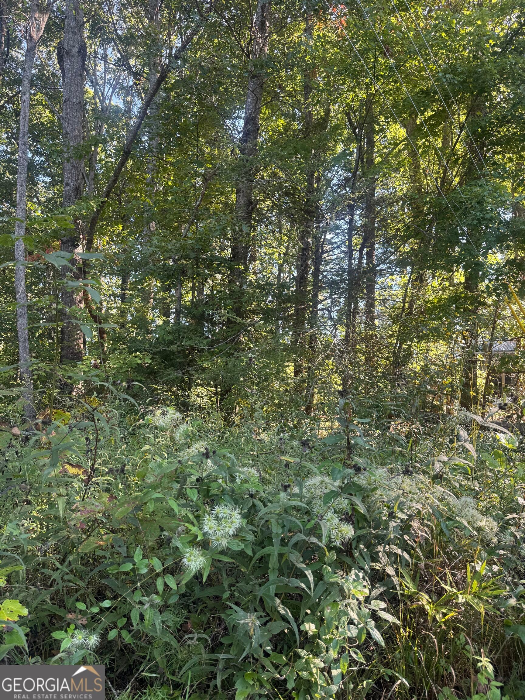 LOT 3 Roberts Ridge RD