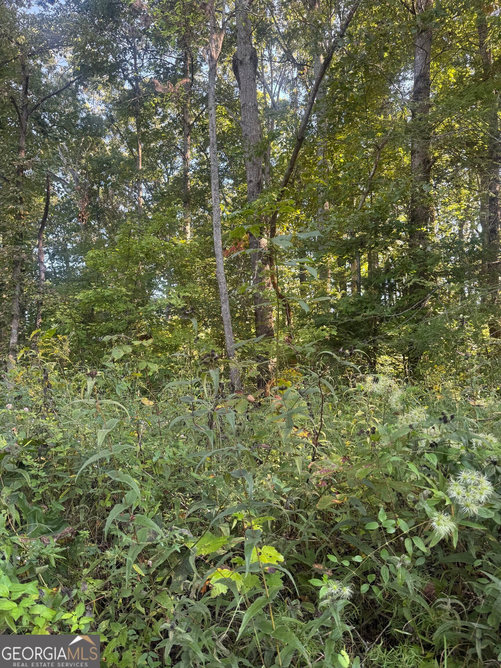 LOT 3 Roberts Ridge RD