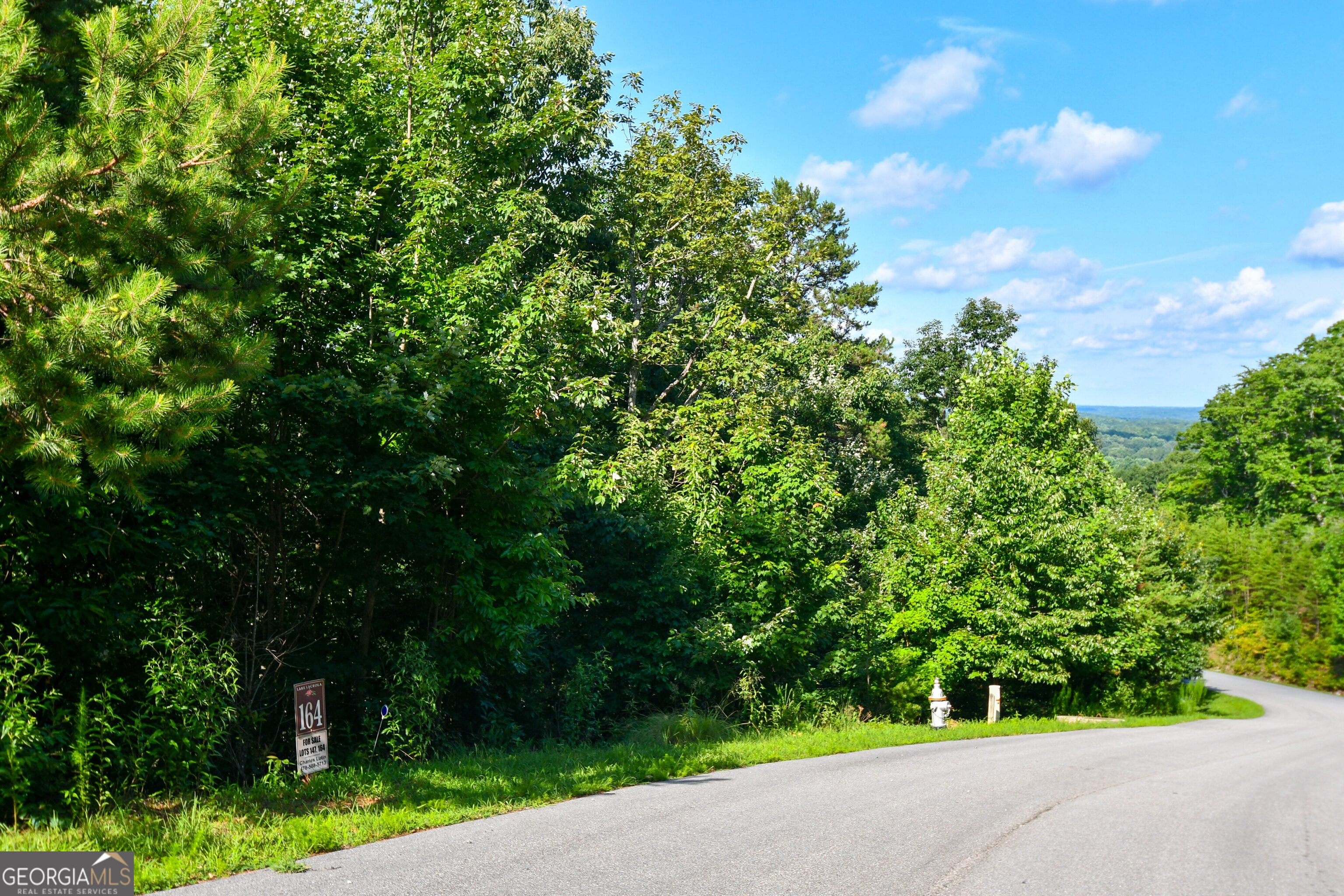 LOT 164 Laceola South