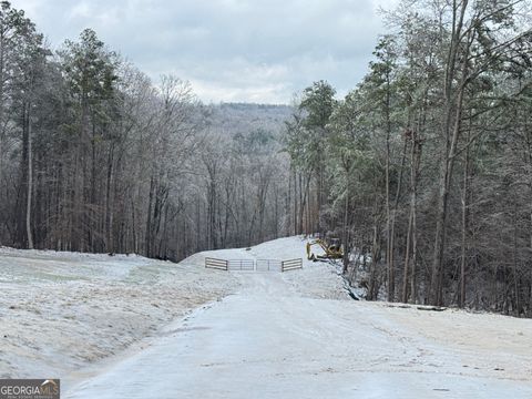 Photo of 1632 Sperin Road, Ball Ground, GA 30107 (MLS # 10692422)