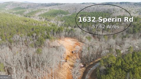 1632 Sperin RD Ball Ground GA 30107