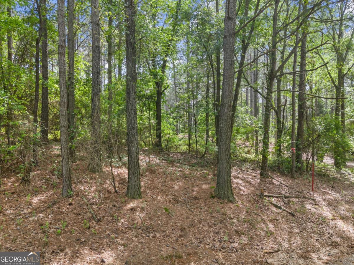 414 Jim Grizzle RD