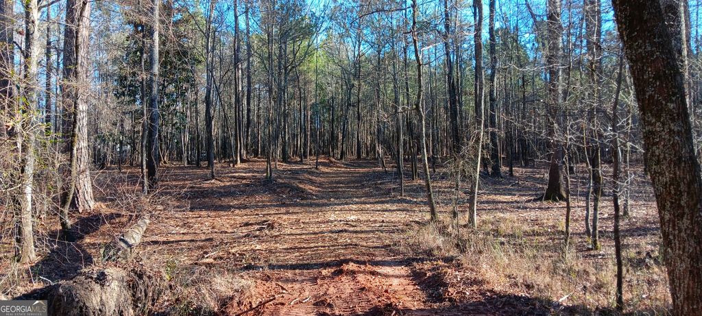 Photo of 1 Sweetbriar Lane #A, Griffin, GA 30224 (MLS # 20110667)