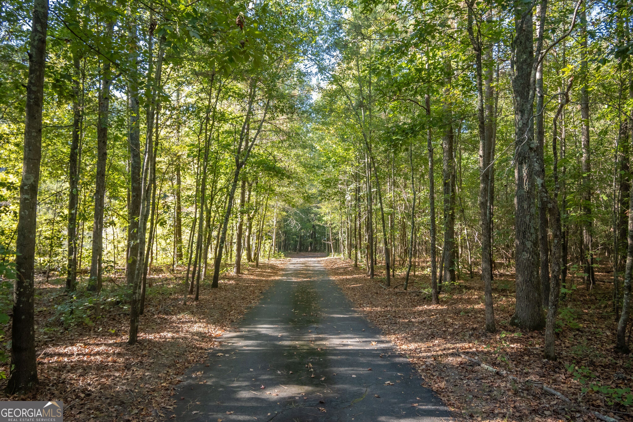 175 Windfall DR