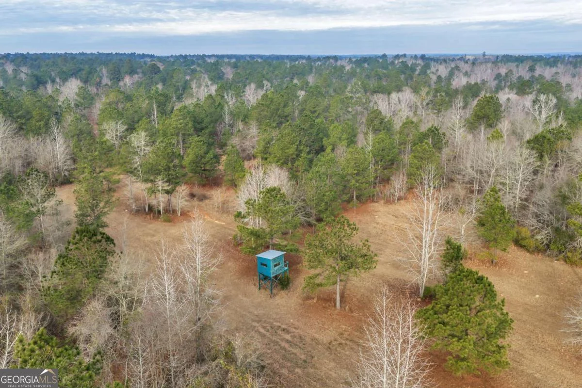241 Foskey Cemetary Road, Adrian, GA, 31002