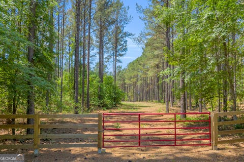 Photo of 0 Hidden Harbor Road, Lincolnton, GA 30817 (MLS # 10768950)